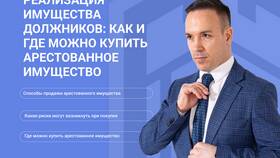 Арест имущества за долги: порядок действий в Спар