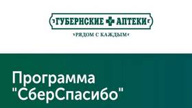 Что можно оплачивать бонусами СберСпасибо в Спар