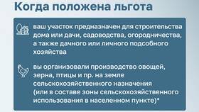 Что понимают под налогом в Спар