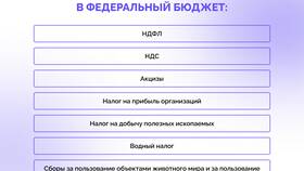 Что такое сбор в налогах в Спар