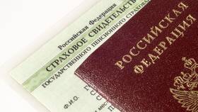 Что включается в специальный страховой стаж в Спар