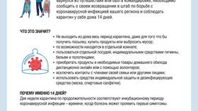 Что значит аннулировать товар в Спар