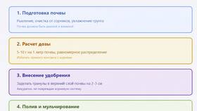 Для чего применяется инструкция в Спар