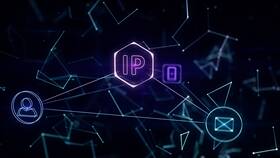 Как найти телефон ИП в Спар