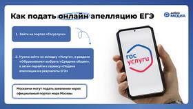 Как подать апелляцию в Спар