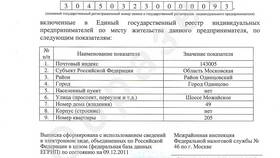 Как сделать выписку из ЕГРИП для ИП в Спар