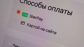 Как сделать заказ в Додо Пицца в Спар
