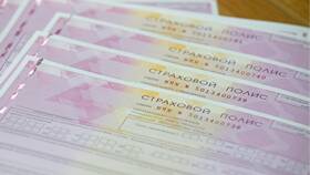 Как узнать срок действия страховки автомобиля в Спар