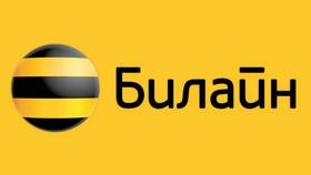Как взять займ через Билайн в Спар