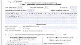 Как заполнить декларацию ИП на УСН за 2024 год