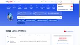 Почему Госуслуги не отображают постоянную регистрацию в Спар