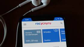 Почему сервис Госуслуг временно недоступен? в Спар