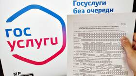 Сроки оформления временной регистрации через Госуслуги в Спар
