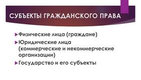 Юридические лица как субъекты гражданского права в Спар
