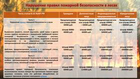 За что и сколько штрафуют: распространенные нарушения и размеры штрафов в Спар