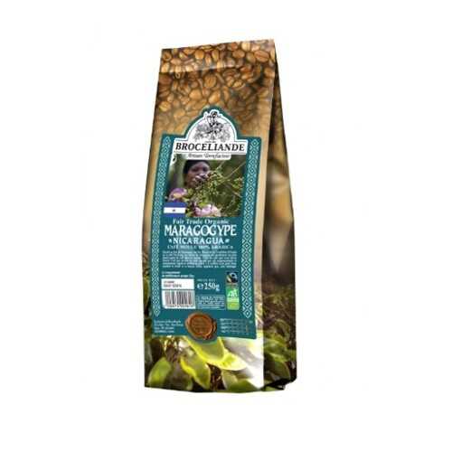 Кофе молотый Broceliande maragogype Nicaragua броселианд марагоджип Никарагуа 250 г в Спар