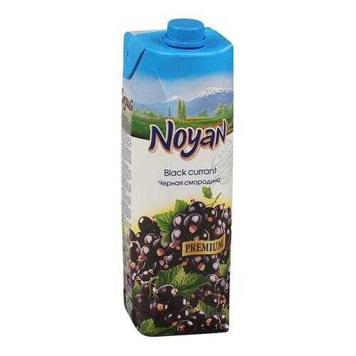 Черная смородина-виноград нектар Noyan premium 1 л в Спар